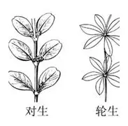 詹姆斯泸州老窖天府中学赛后发声的简单介绍|IM电竞